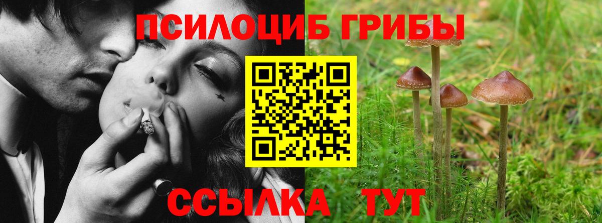 Галлюциногенные грибы мухоморы Тихорецк