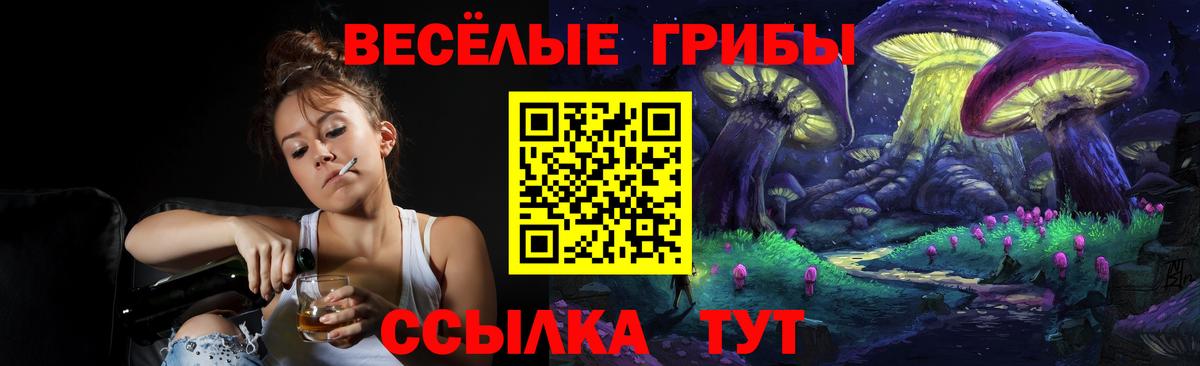 Псилоцибиновые грибы ЛСД  Псилоцибиновые грибы MAGIC MUSHROOMS  Тихорецк  Вход с VPN 